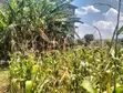 Prime Land for Sale in Kingeero – Kanisa Road - 4