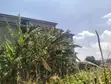 Prime Land for Sale in Kingeero – Kanisa Road - 5