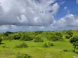 12 Acres Land for Sale in Malindi - 2