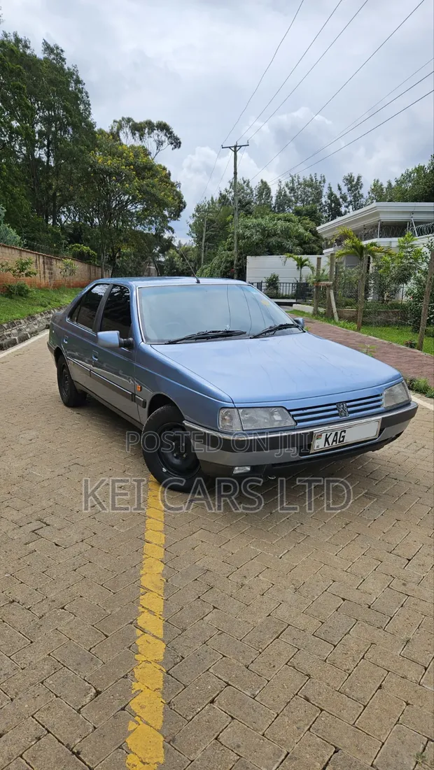 Peugeot 405 SR DT 1996 Bluu - 1