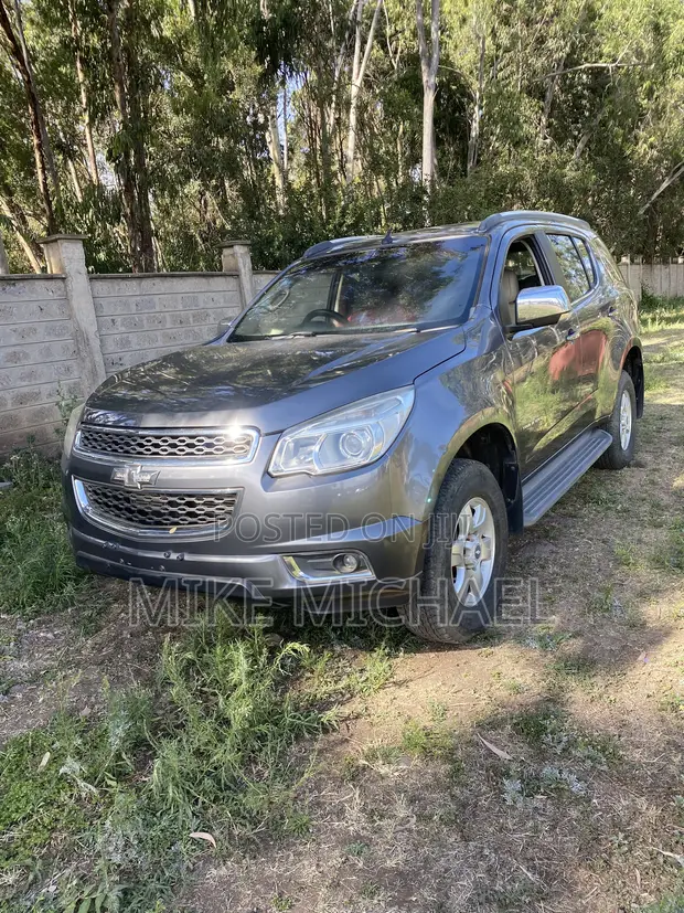 Chevrolet Trailblazer 2014 Gray - 1