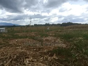 17 Acres Farmland for Sale in Kaimbaga