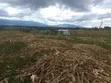 17 Acres Farmland for Sale in Kaimbaga - 2