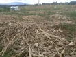 17 Acres Farmland for Sale in Kaimbaga - 4