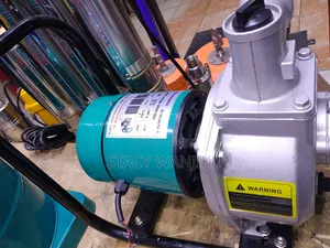 Premier 2" Solar Water Pump 900W