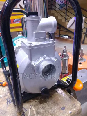 Premier 900W DC Water Pump