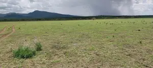 20 Acres Land for Sale, Tinga Off Magadi Road