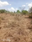 20 Acres Land for Sale, Ngobit - 2