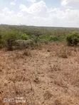 20 Acres Land for Sale, Ngobit - 3