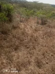 20 Acres Land for Sale, Ngobit - 4