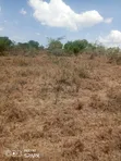 20 Acres Land for Sale, Ngobit - 5