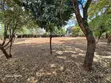 0.5 Acre Residential Land for Sale in Kitisuru - 2