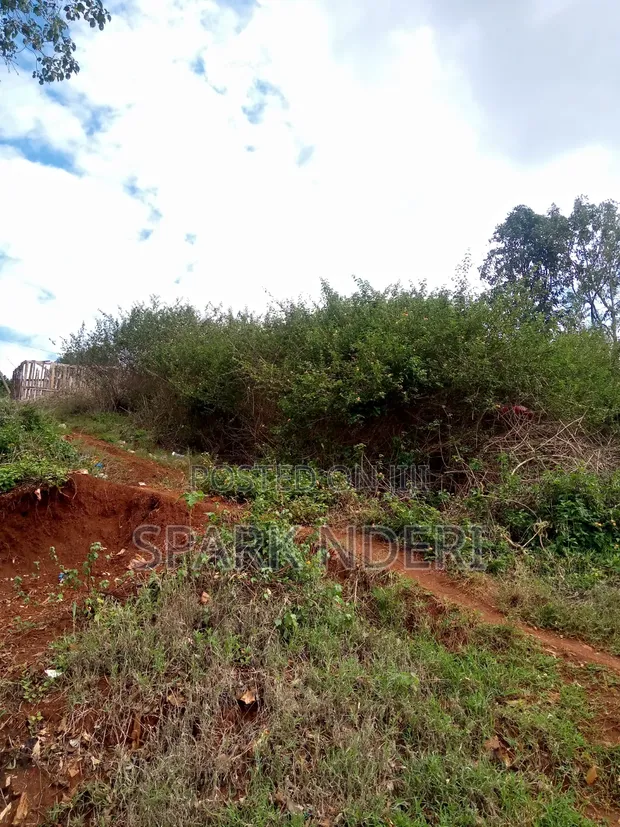Kiota cha 1/4 cha Ardhi kwa Mauzo Nyeri - 1
