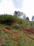Kiota cha 1/4 cha Ardhi kwa Mauzo Nyeri - 2