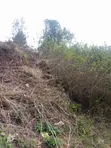 Kiota cha 1/4 cha Ardhi kwa Mauzo Nyeri - 3