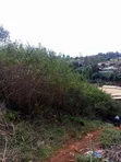 Kiota cha 1/4 cha Ardhi kwa Mauzo Nyeri - 4
