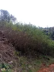 Kiota cha 1/4 cha Ardhi kwa Mauzo Nyeri - 5