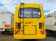 Isuzu NQR 2017 Bus - Yellow - 4