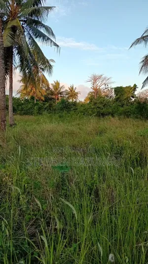 1/8 Acre Plot for Sale in Makongeni, Kinondo - Near Tarmac