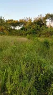 Kitalu cha 1/8 Eka kwa Uuzaji Makongeni, Kinondo - Karibu na Barabara - 2
