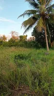 Kitalu cha 1/8 Eka kwa Uuzaji Makongeni, Kinondo - Karibu na Barabara - 4
