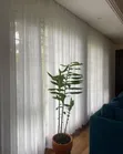Window Sheer Curtains - Brand New - 2
