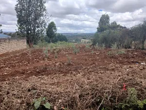 Prime Eighth Acre Plot Off PCEA Tarmac, Upper Matasia
