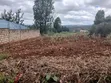 Prime Eighth Acre Plot Off PCEA Tarmac, Upper Matasia - 2
