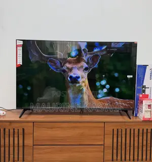 Vitron Whale TV 50" Smart LED TV