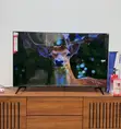 Vitron Whale TV 50" Smart LED TV - 1
