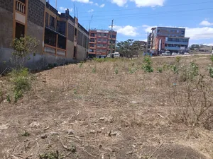 Kitalu cha Kibiashara cha Prime 50x100 Kinachogusa Barabara ya Magadi Tarmac