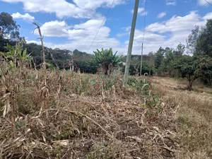 Uuzaji wa Haraka: Kiwanja 100x100 Karibu na Lewisa Academy, Kiserian