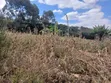 Uuzaji wa Haraka: Kiwanja 100x100 Karibu na Lewisa Academy, Kiserian - 2