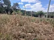 Uuzaji wa Haraka: Kiwanja 100x100 Karibu na Lewisa Academy, Kiserian - 3
