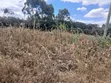 Uuzaji wa Haraka: Kiwanja 100x100 Karibu na Lewisa Academy, Kiserian - 4