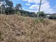 Uuzaji wa Haraka: Kiwanja 100x100 Karibu na Lewisa Academy, Kiserian - 5