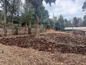 Full 50x100 Plot in Upper Matasia Off PCEA Road