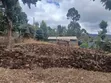 Full 50x100 Plot in Upper Matasia Off PCEA Road - 2
