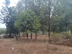 Prime Quarter Acre Plot Off PCEA Road, Matasia