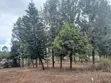 Prime Quarter Acre Plot Off PCEA Road, Matasia - 3