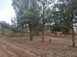 Prime Quarter Acre Plot Off PCEA Road, Matasia - 4