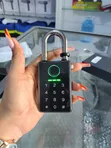 SJ103 Smart Fingerprint & PIN Padlock - Tuya App - 2