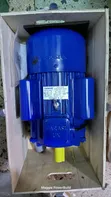 Farasi 5.5HP Single Phase Electric Motor - 2