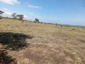Ardhi Bora ya Eka 100 Zinauzwa Kaabati, Kaunti ya Murang'a