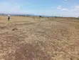 Ardhi Bora ya Eka 100 Zinauzwa Kaabati, Kaunti ya Murang'a - 2