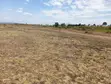 Ardhi Bora ya Eka 100 Zinauzwa Kaabati, Kaunti ya Murang'a - 3