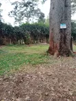0.6 Acres Prime Land Near Yaya Centre - 2