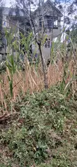 1/8 Acre Plot for Sale in Kerarapon Drive - KSh 9 Million - 3