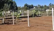 Kitalu cha Kuuzwa - Kikuyu, Lusigetti | KSh 2.7M - 3