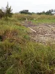 Kiwanja cha Biashara 100x100 kwa Uuzaji, Ruai Stage 26 - 1
